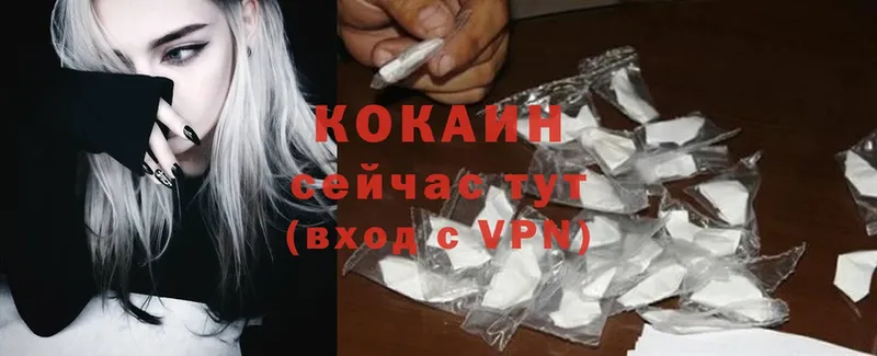 кракен как войти  Куртамыш  Cocaine FishScale  купить  