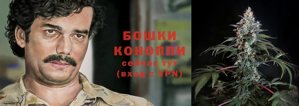Альфа ПВП Няндома