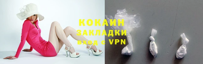 Альфа ПВП Няндома