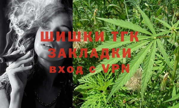 Альфа ПВП Няндома