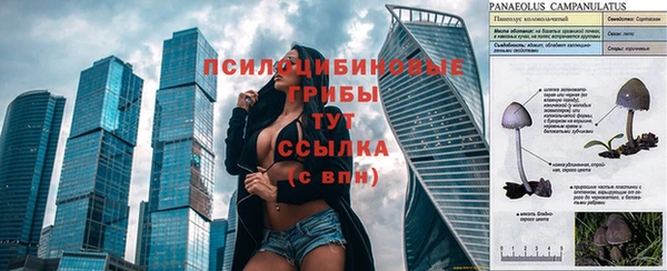 2c-b Нязепетровск