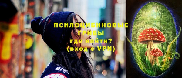 хмурый Нягань
