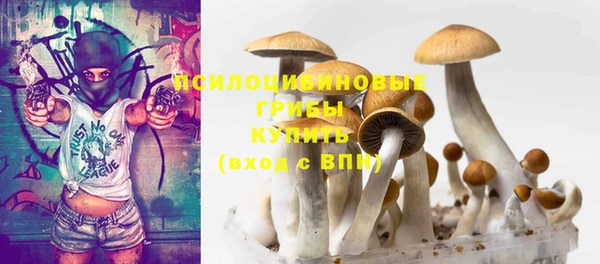 2c-b Нязепетровск
