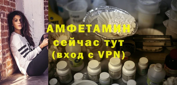 Альфа ПВП Няндома