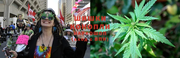 Альфа ПВП Няндома